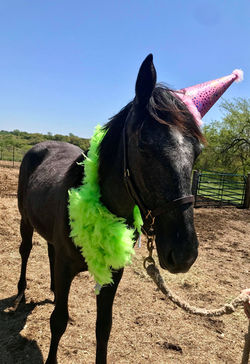 95891703_3140031116057500_4968589687531765760_n