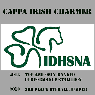 Cappa Irish Charmer placed #1 Irish Draught Performance Stallion in North America 2018