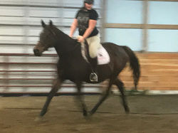 Dam - Kiss Gone Wild (TB)