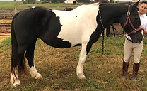 22448547_756855036162_242060278842101039