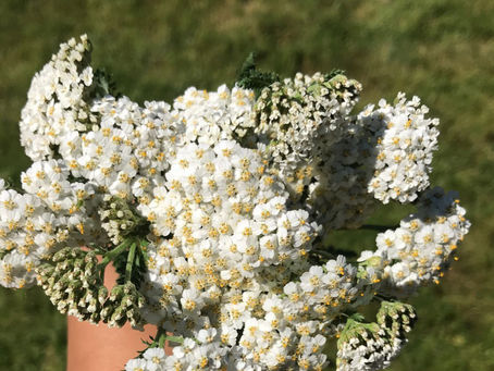 Welcome to my first Blog!