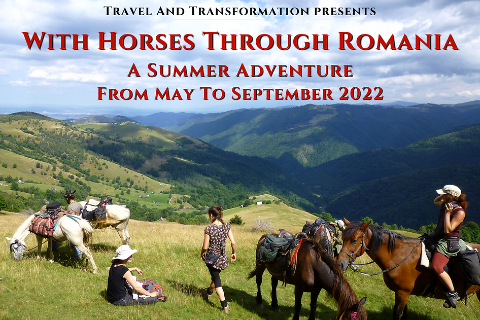 A Summer Adventure 3000x2000 (3).png