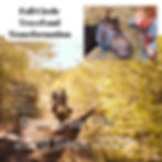 Full Circle Travel and Transformation - Romania