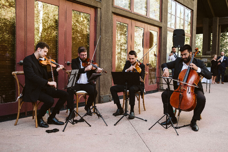 Instrumental Wedding Songs for Walking Down the Aisle at Your Wedding