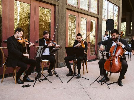 Instrumental Wedding Songs for Walking Down the Aisle at Your Wedding