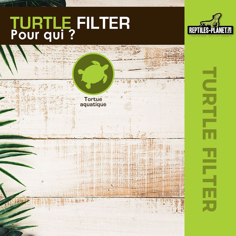 Thumbnail: Turtle Filter - Filter Cartridges x3
