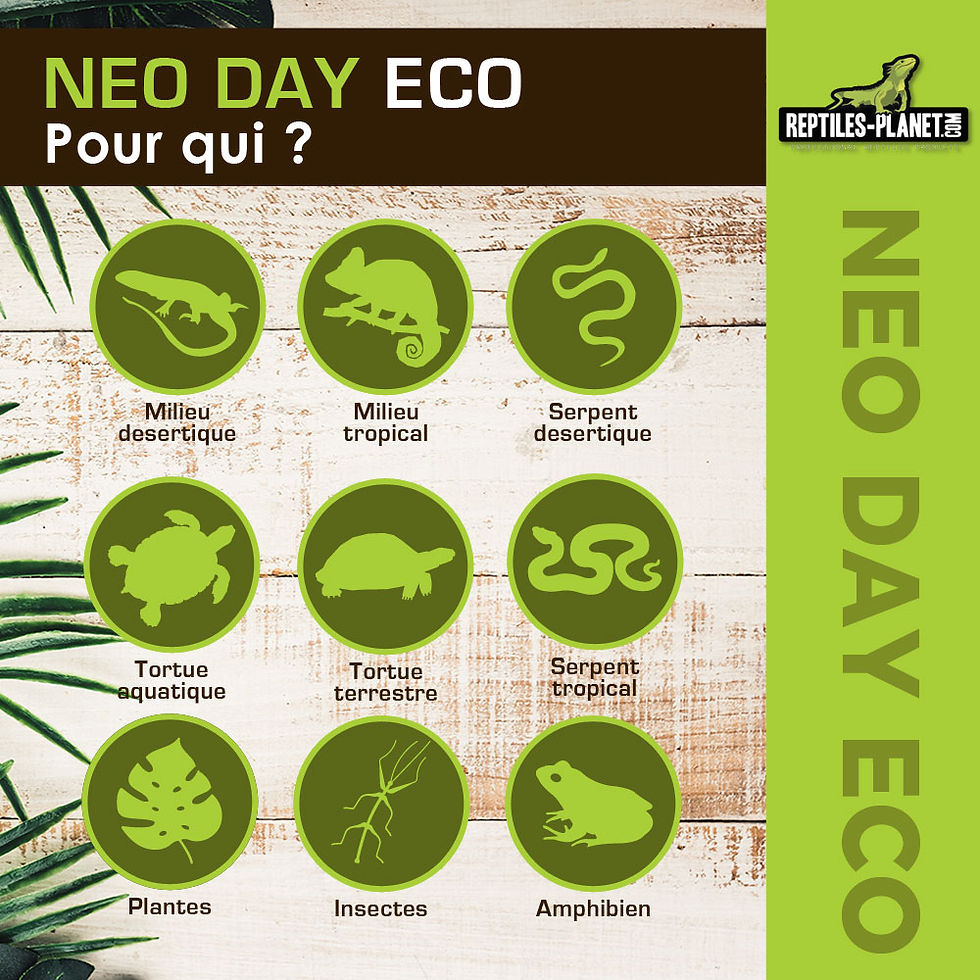 Miniaturbild: Neo Day Eco – Heizlampe für Terrarium – 28 W
