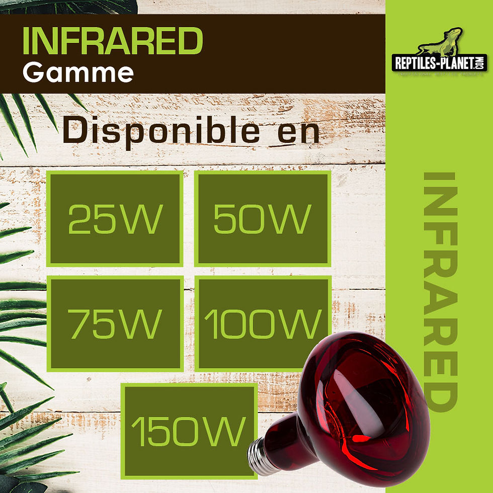 Thumbnail: Infrared - Infrared Heating Bulb - 25 W
