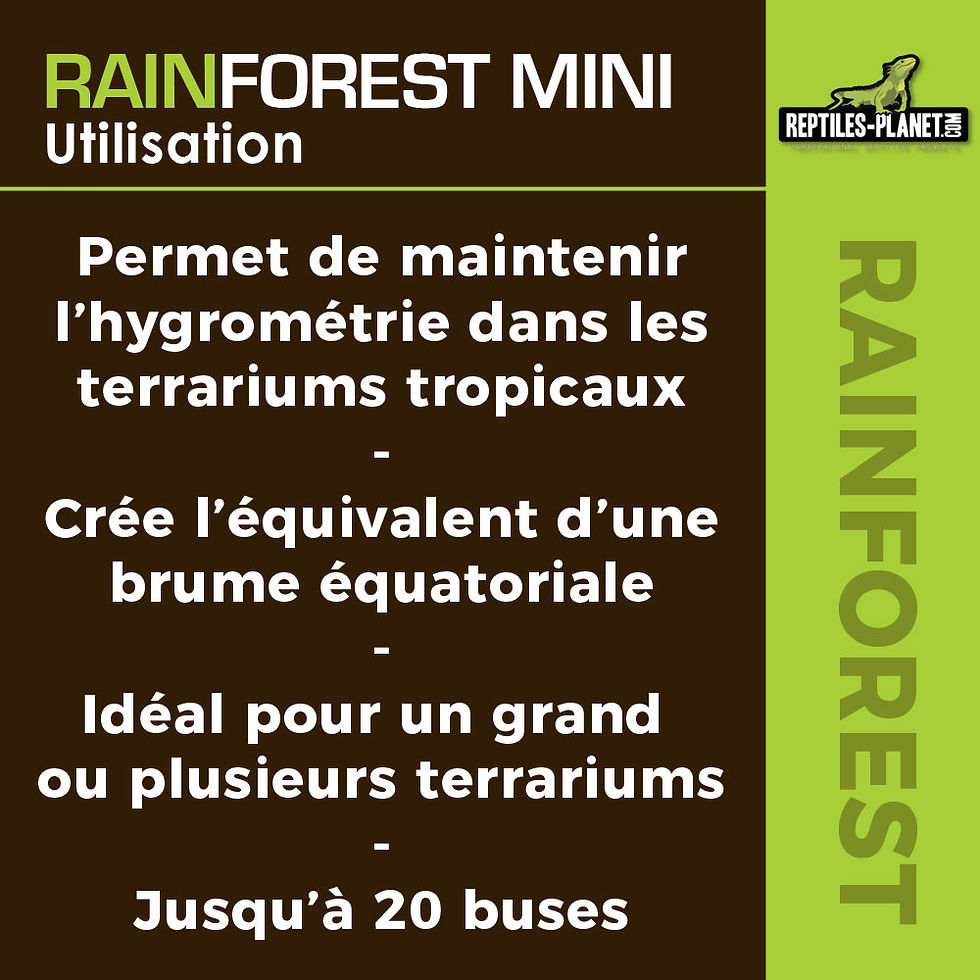 Miniaturbild: Rainforest - Vernebelung 10L
