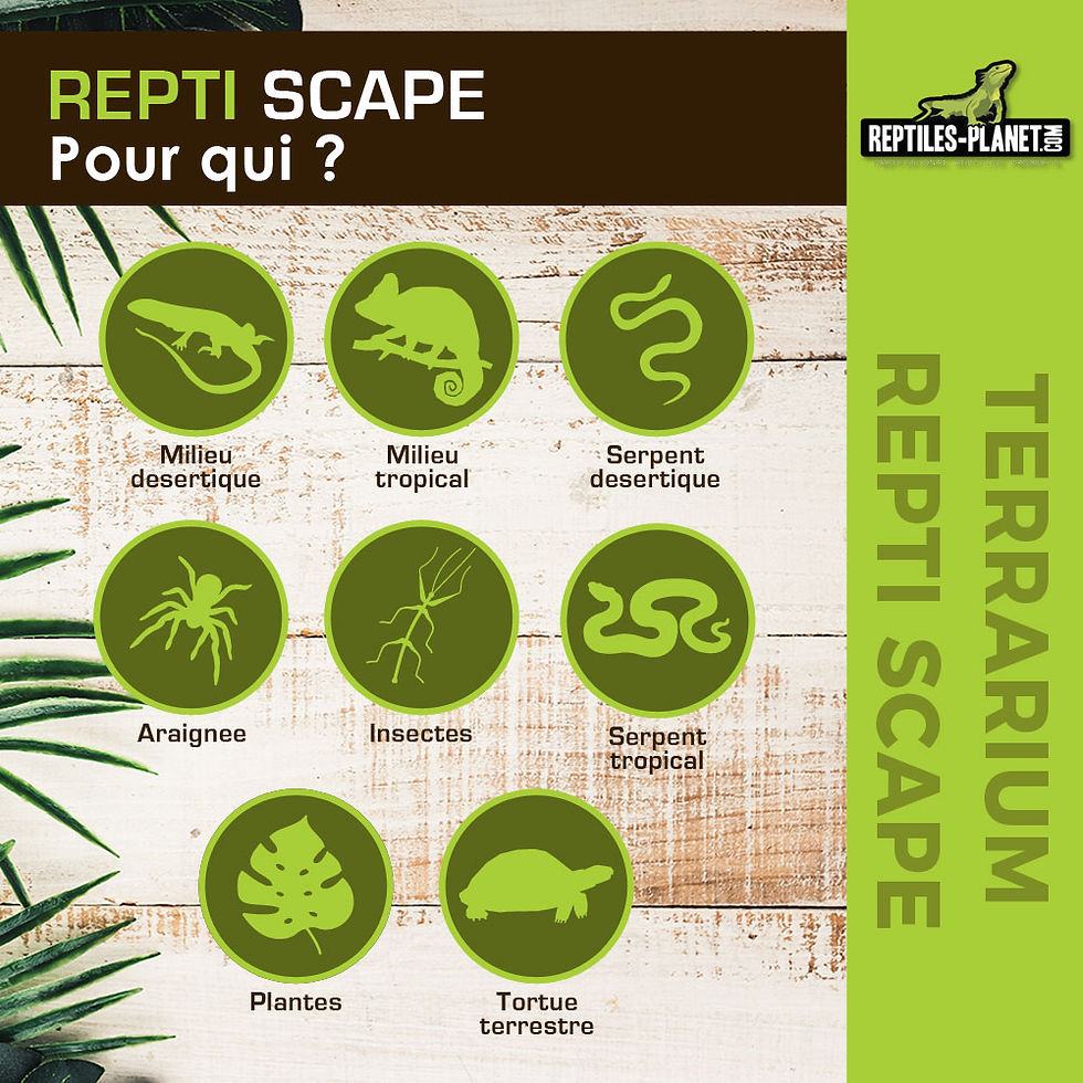 Thumbnail: Repti Scape L150 - 152,4x61x91,4 cm