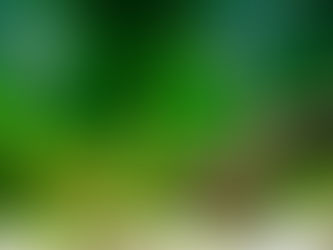 Mise en route de mon aquarium d’eau douce