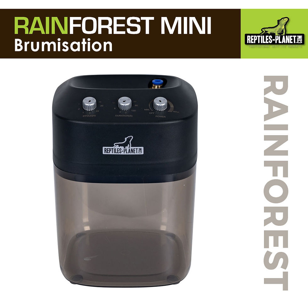 Miniaturbild: Rainforest Mini - Vernebelung 2,2L
