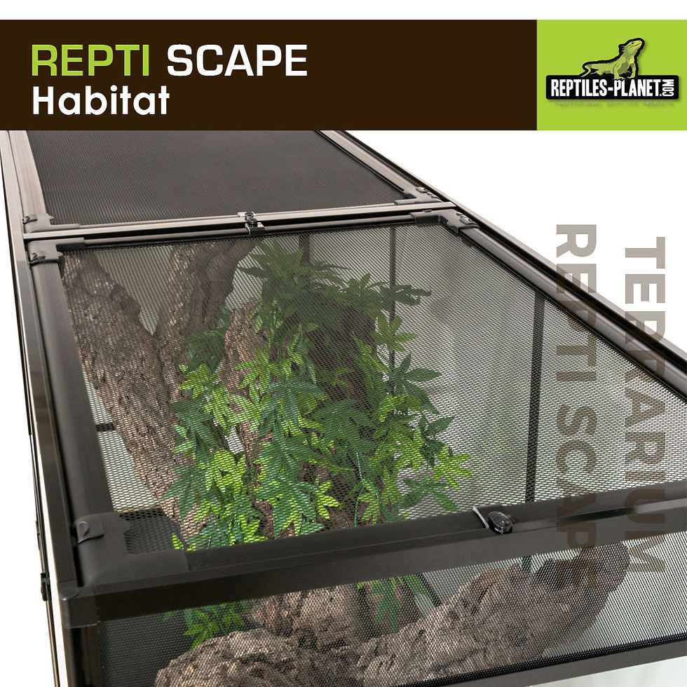 Miniature : Repti Scape L180 - 182,8x61x91,4 cm