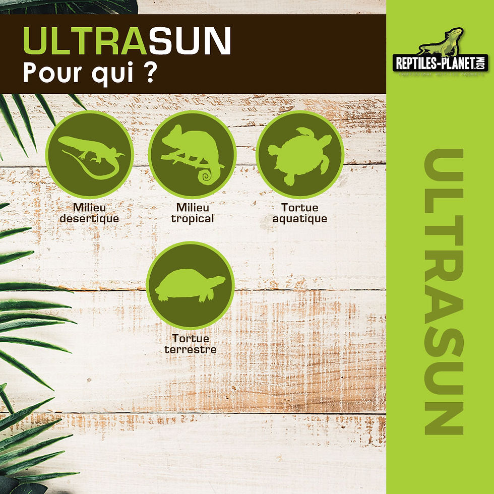 Miniatura: Ultrasun - 80W