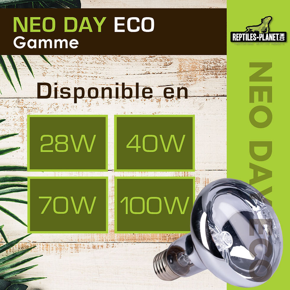 Miniaturbild: Neo Day Eco – Heizlampe für Terrarium – 40 W
