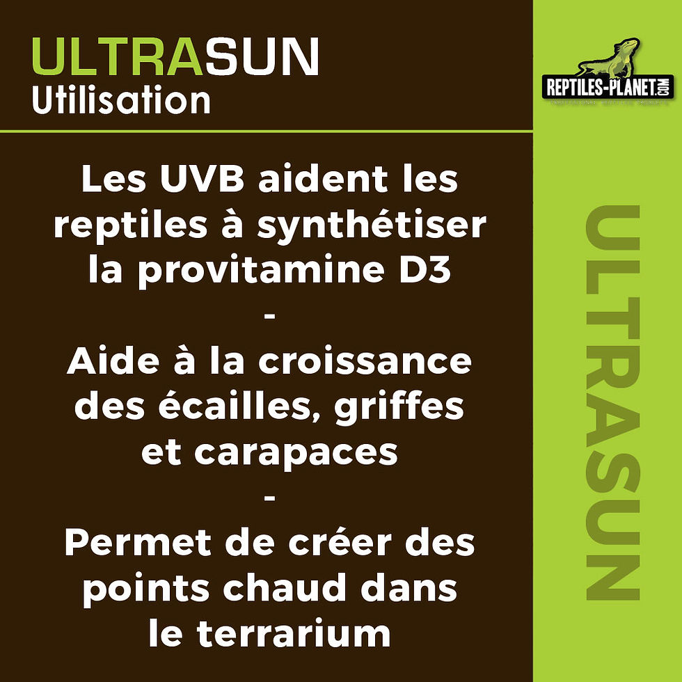 Miniature : Ultrasun 70 W -  Ampoule UVA UVB pour Reptiles