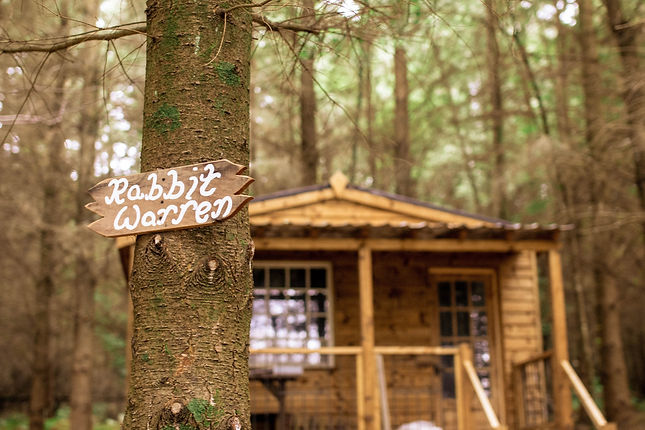 The Rabbit Warren | Seven Acre Woods