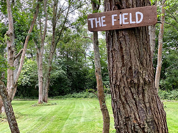 The Field.jpeg