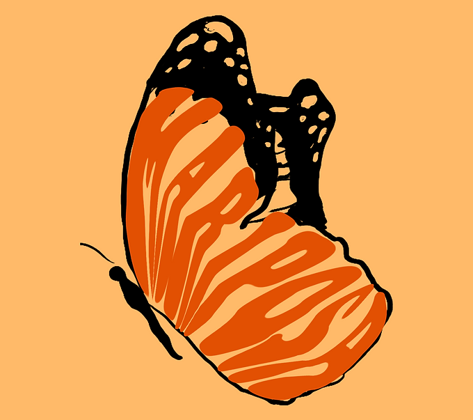 Mariposa.png