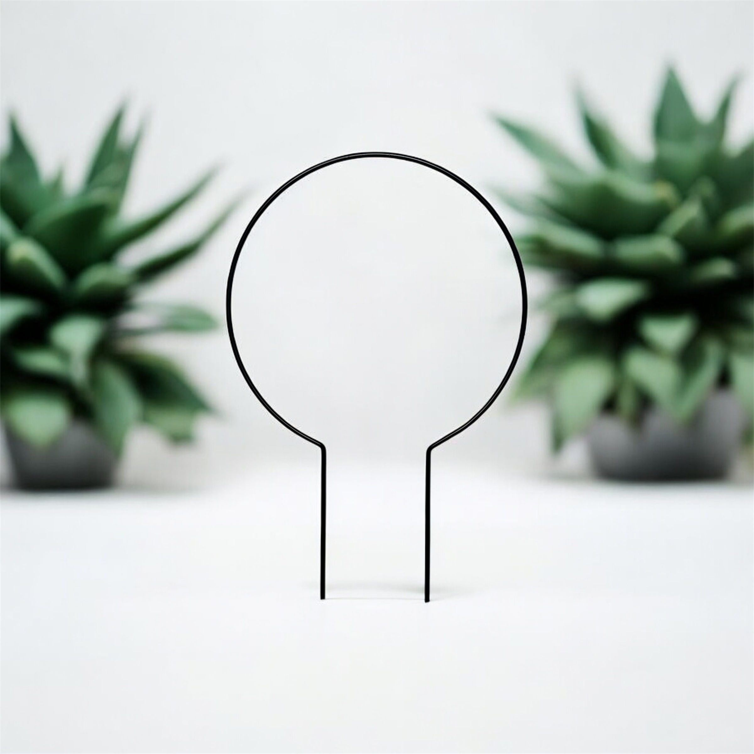 Circle shaped climbing frame