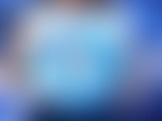 What Are The Risk Benefits Of An LLC?