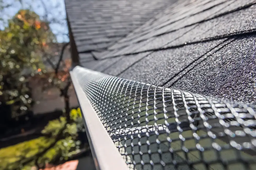gutter+guard-1920w.webp