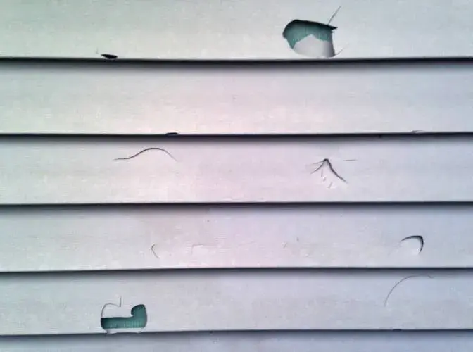 Contractor Grade Vinyl_Polymer