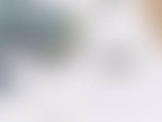 Can I Write Off Purchases Before LLC?