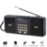 Portable FM Radio Rechargeable Battery Wireless Speaker Support TF USB MP3 Playe