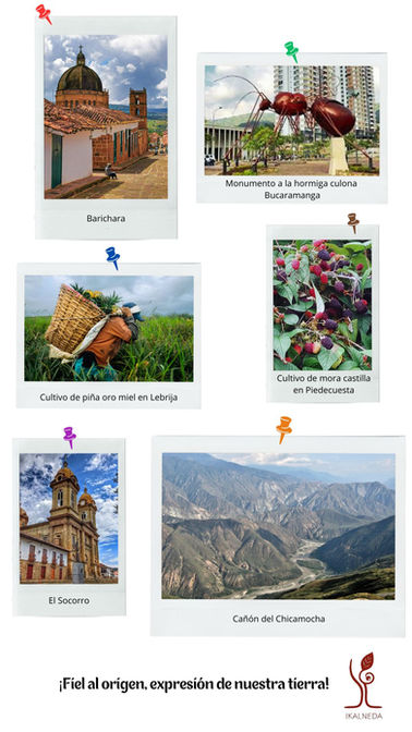 Collage pasion frutal (2).jpg