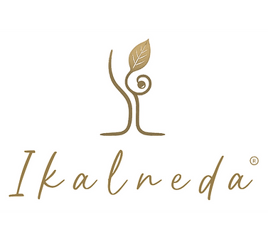 logo _edited.png