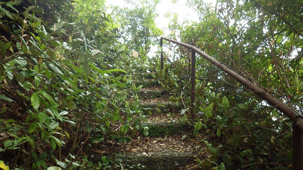 Chemin d'accès.