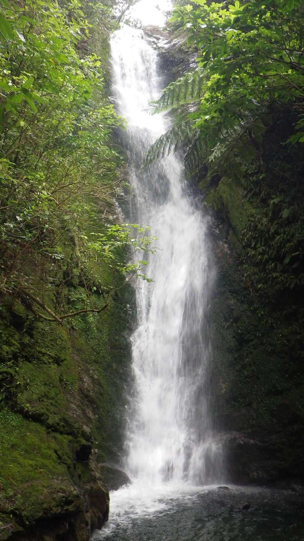 La cascade.