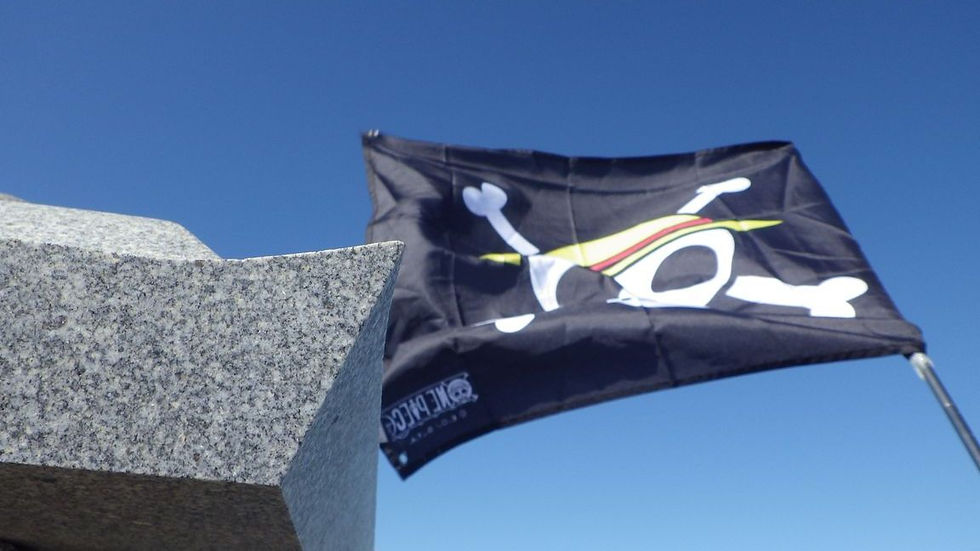 Le drapeau.