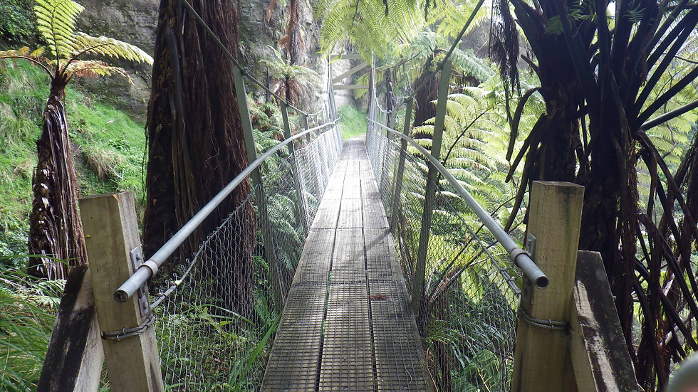 Le pont suspendu.