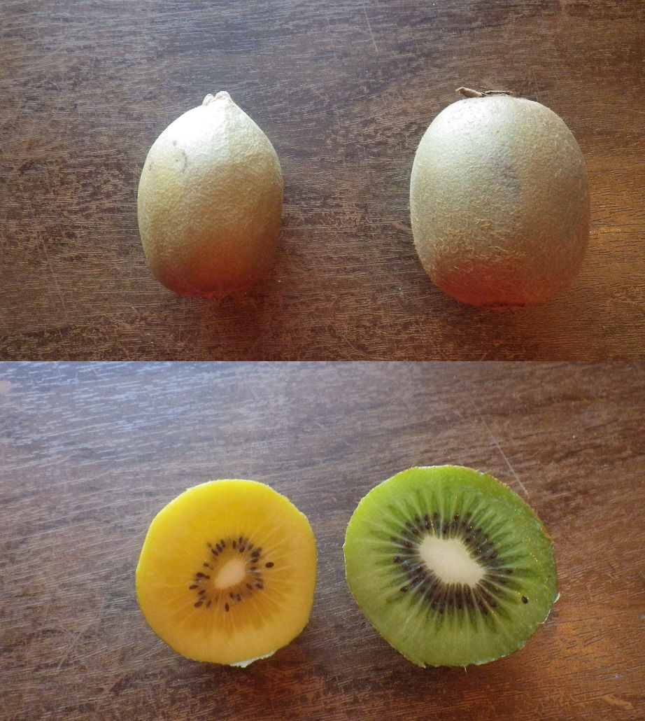 Kiwis