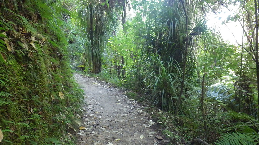 Chemin.