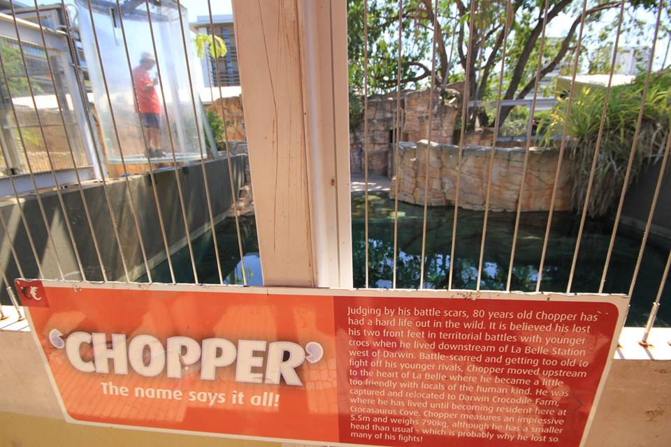 Croco Chopper.