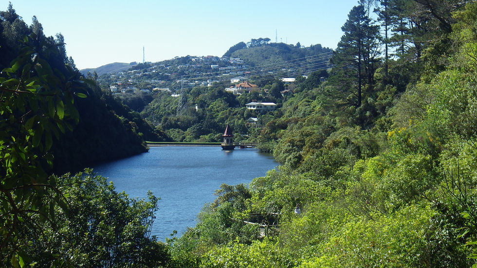 Riviere.