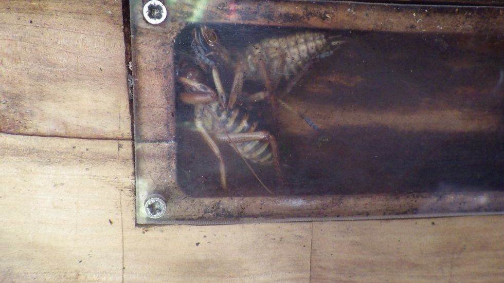 Hotel pour insectes.