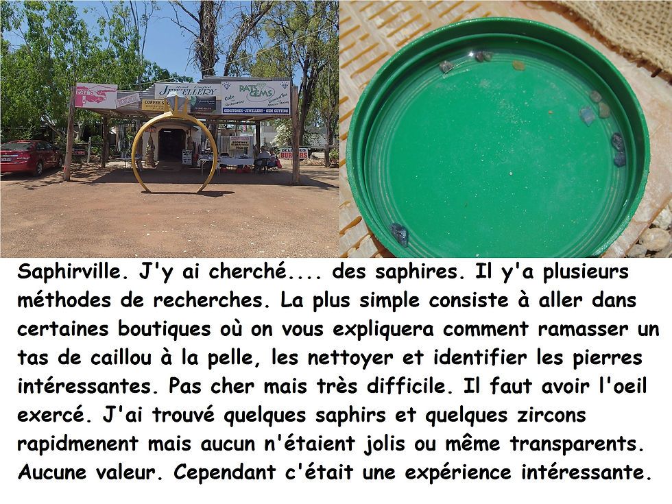PB155741.JPG