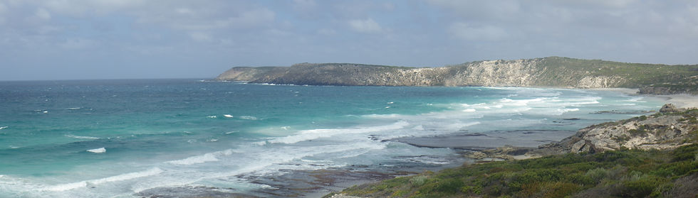 L’île aux Kangourous.