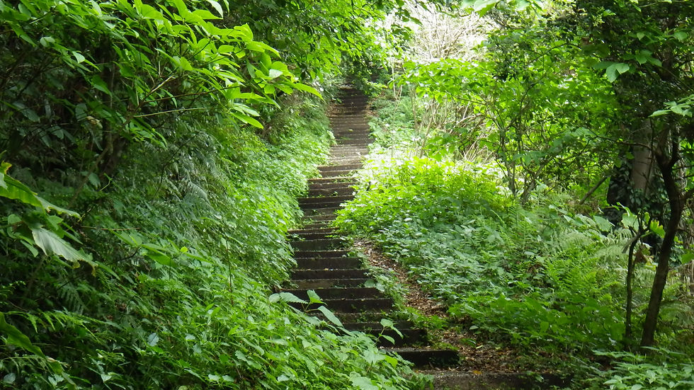 Escalier.
