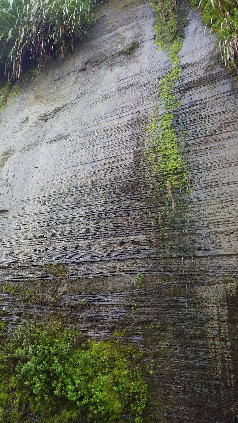 Falaise.