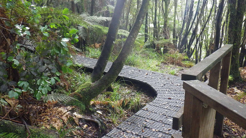Chemin en bois.