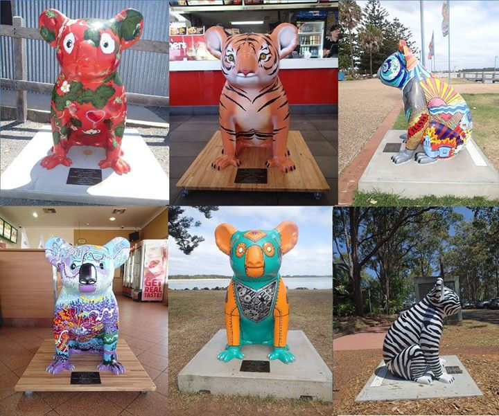 Les 50 Koalas.