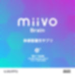 Miivo-brain.jpg