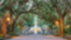 Savannah 1.jpg