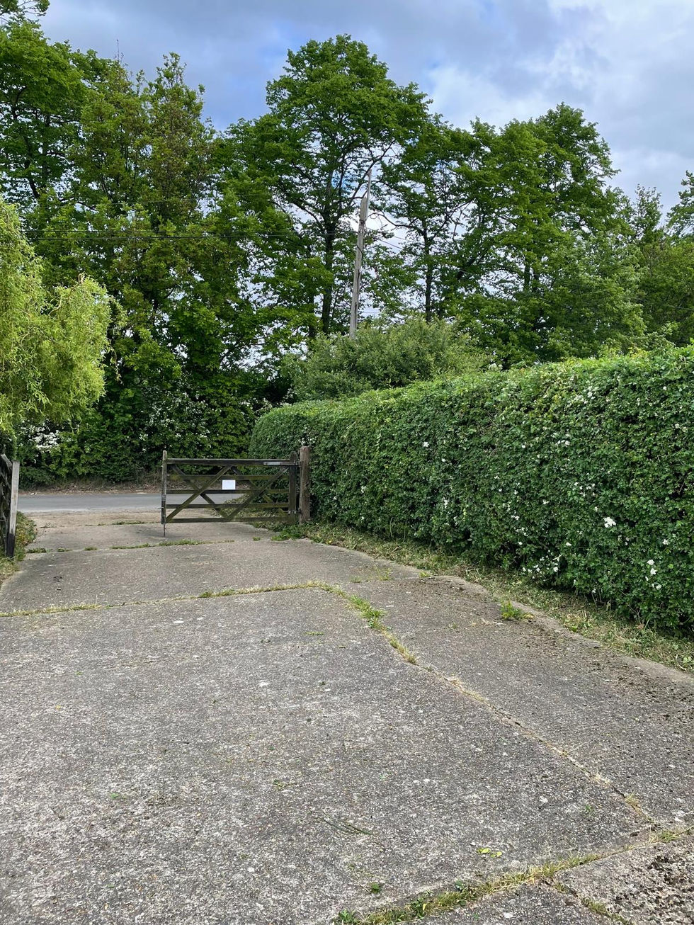 Hedge neatly trimmed by Reigate Handyman to leave a straight, even line along the driveway