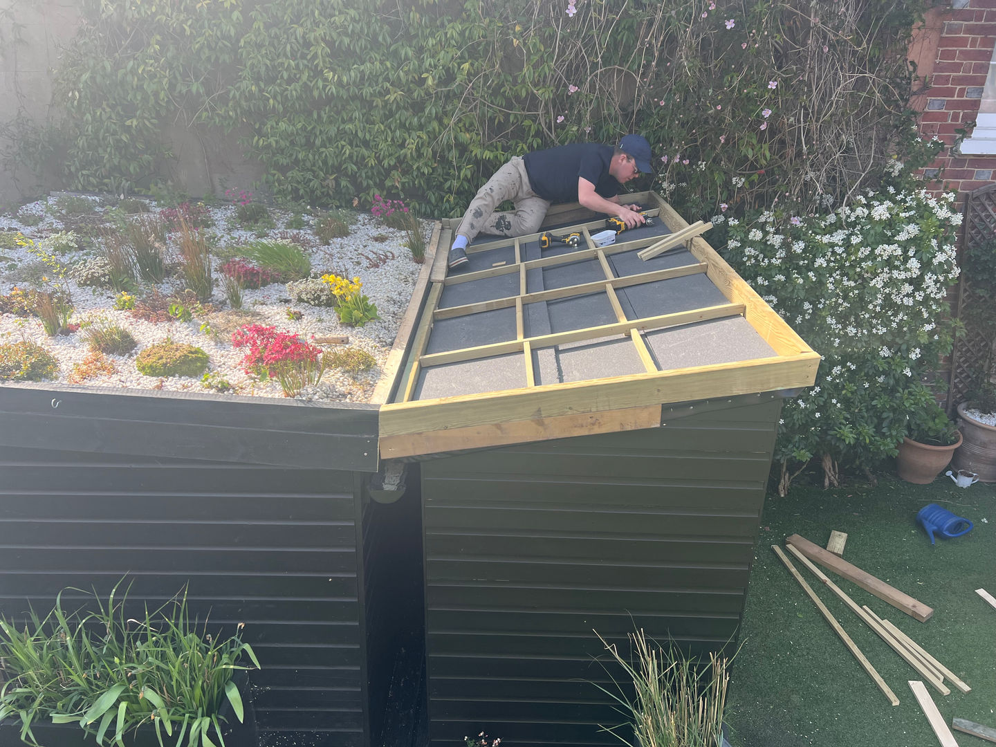 Handyman installing a treated timber grid on a Reigate shed roof to support a new living section, with the existing living roof visible alongside